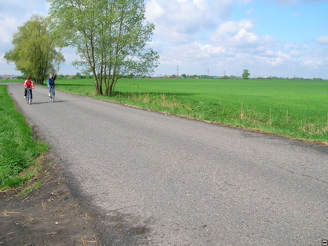 img00005.jpg