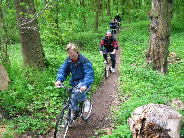 img00013.jpg