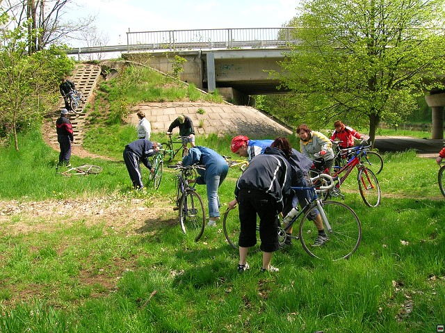 img00016.jpg