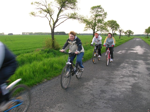 img00028.jpg