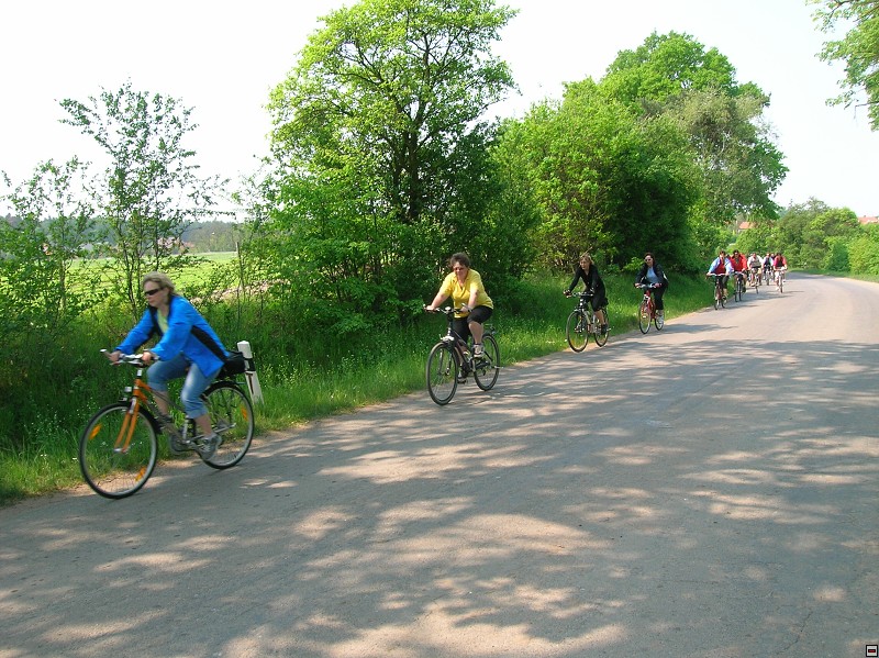 img00006.jpg