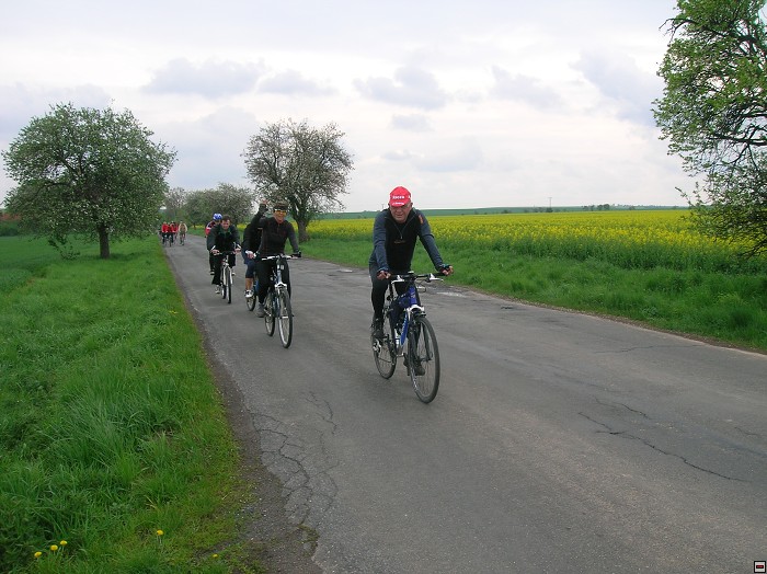 img00005.jpg