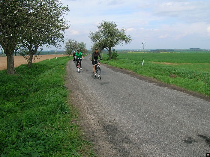 img00038.jpg
