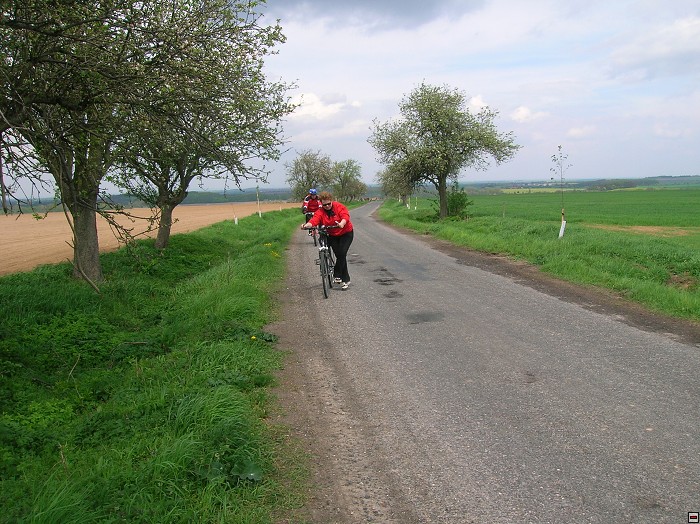 img00043.jpg