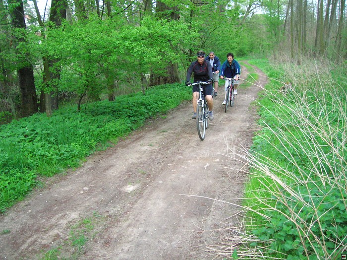 img00056.jpg