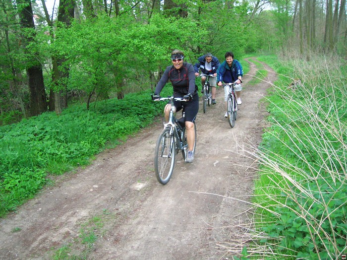 img00057.jpg