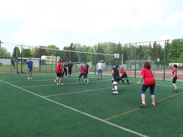 img00043.jpg