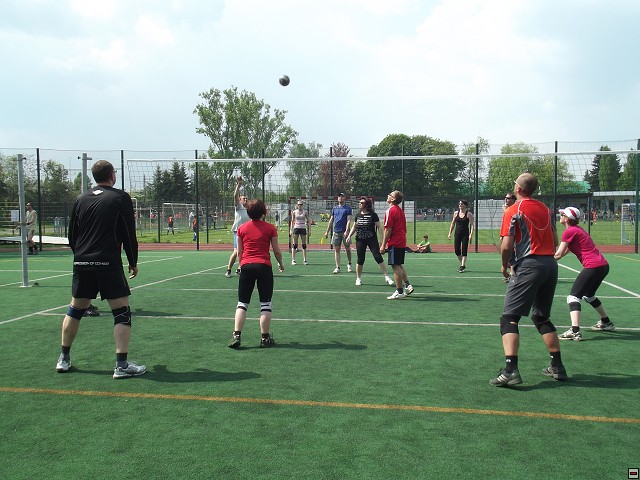 img00049.jpg