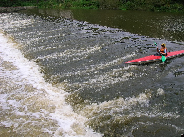 img00035.jpg