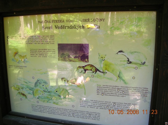 img00009.jpg