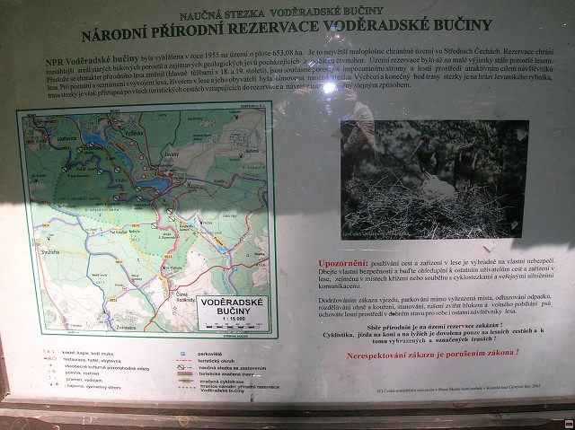 img00010.jpg