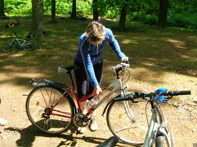 img00017.jpg