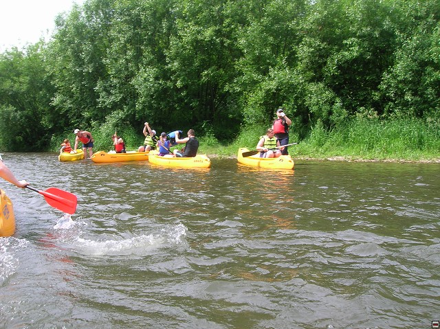 img00008.jpg