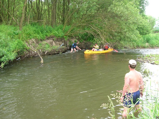 img00020.jpg