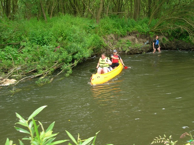img00021.jpg