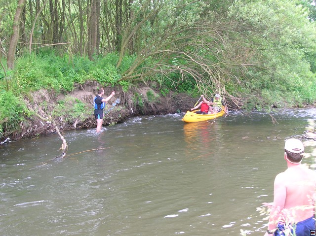 img00022.jpg