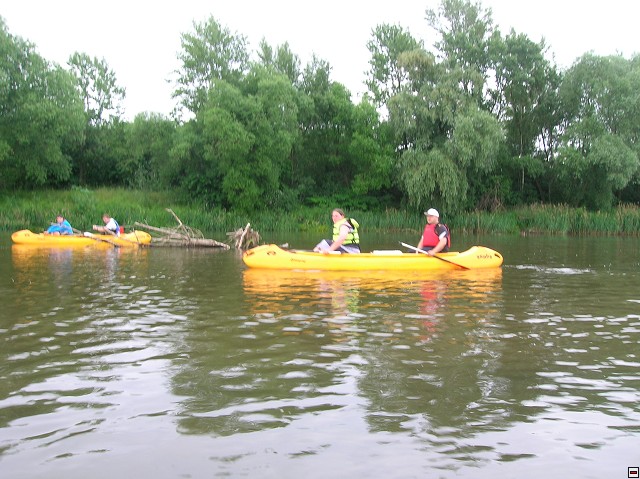 img00035.jpg