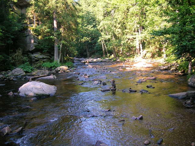 img00015.jpg