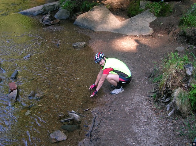 img00016.jpg