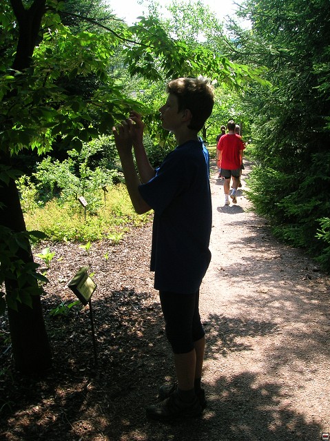 img00023.jpg