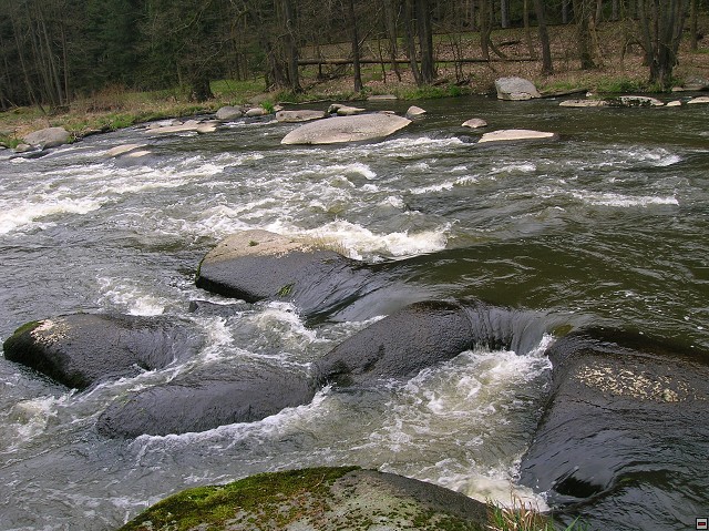 img00018.jpg