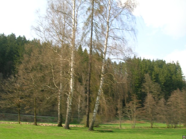 img00021.jpg