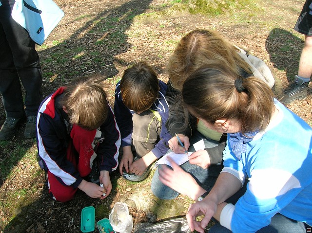 img00049.jpg