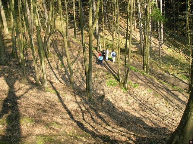 img00052.jpg