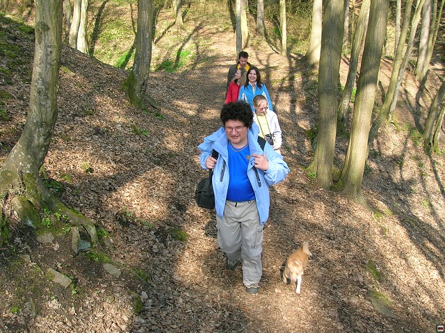 img00053.jpg