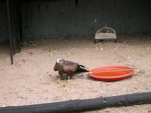 img00060.jpg