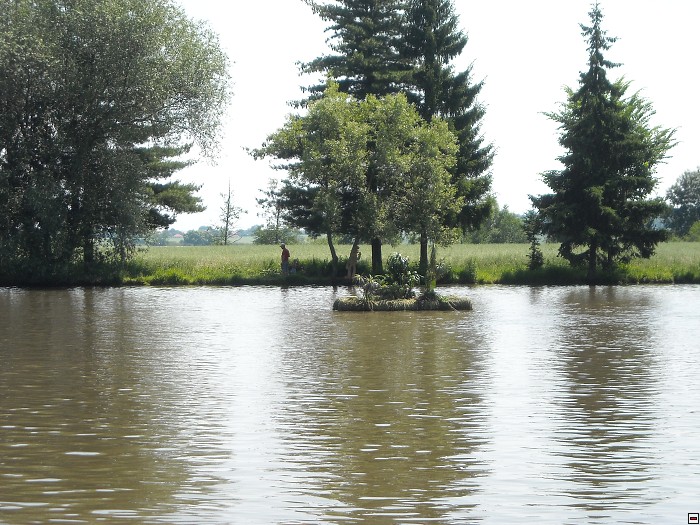 img00028.jpg