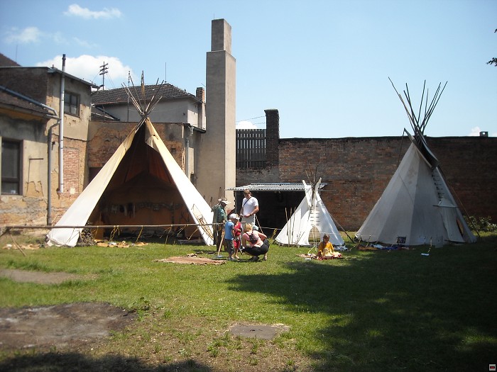 img00031.jpg