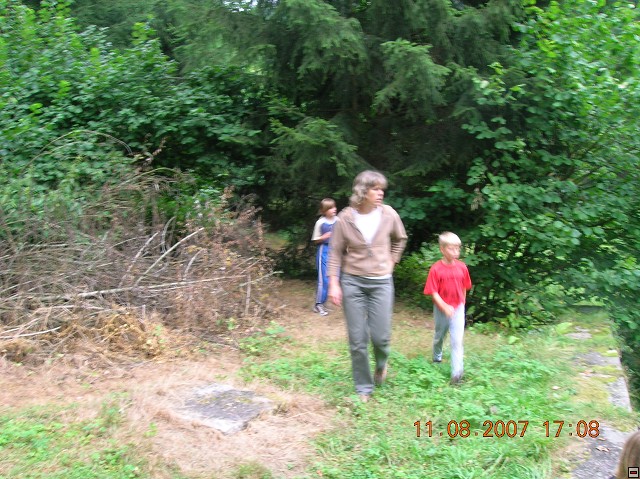 img00003.jpg