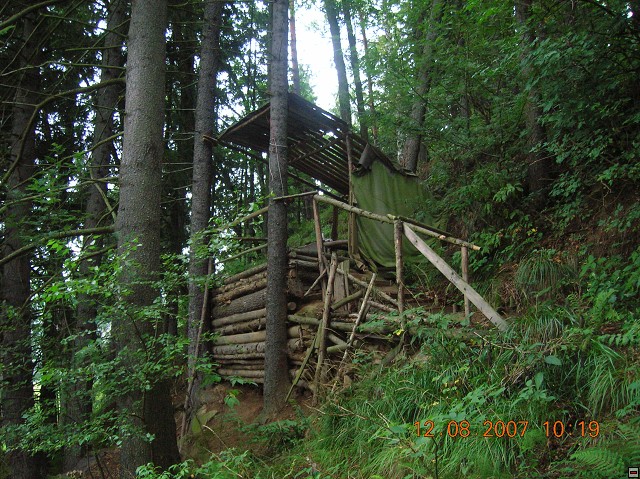 img00013.jpg