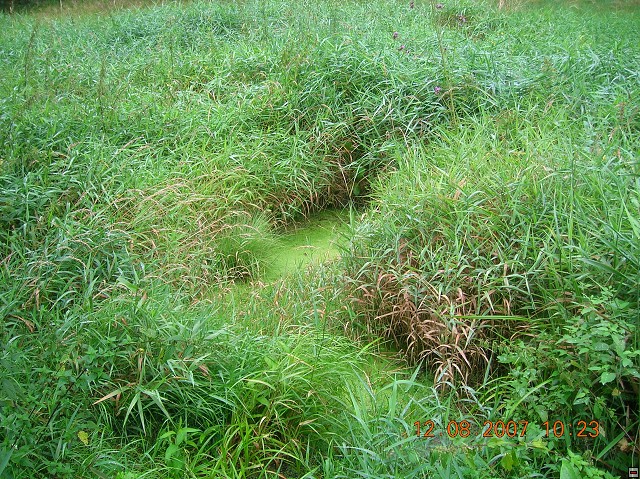 img00019.jpg