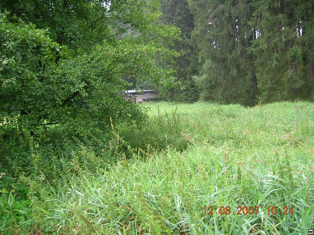 img00020.jpg