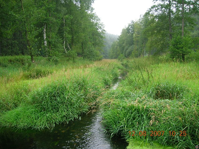img00023.jpg