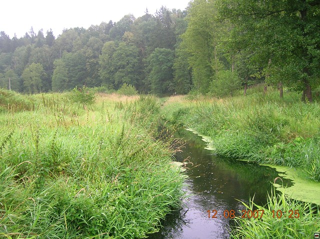 img00024.jpg