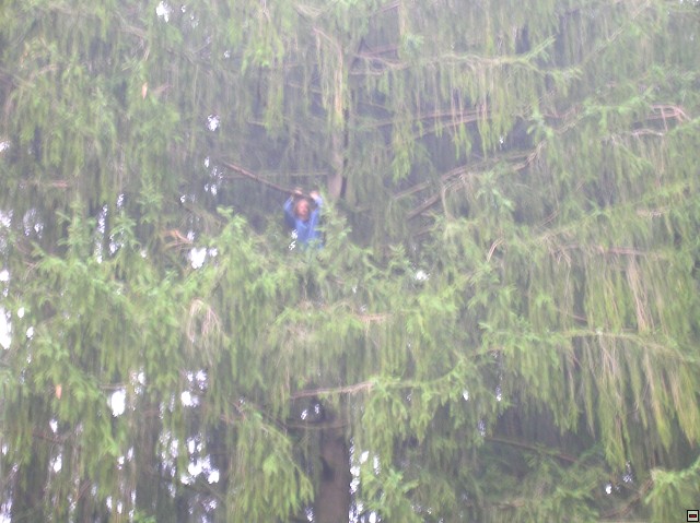 img00035.jpg