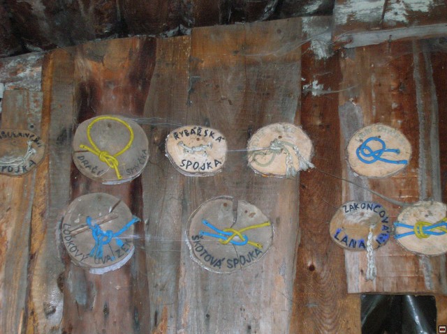 img00050.jpg