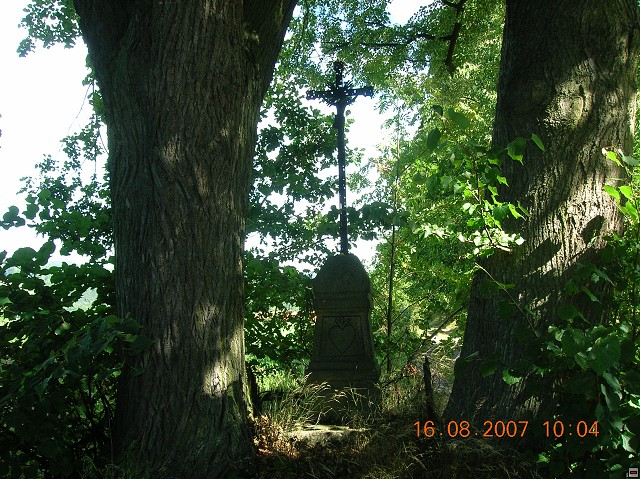 img00058.jpg