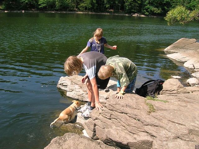 img00065.jpg