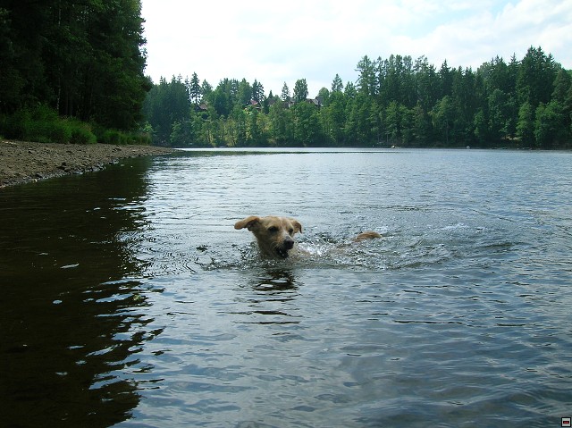 img00070.jpg