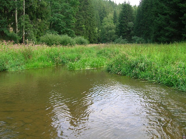 img00076.jpg