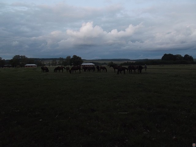 img00001.jpg