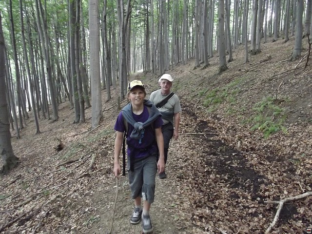 img00013.jpg