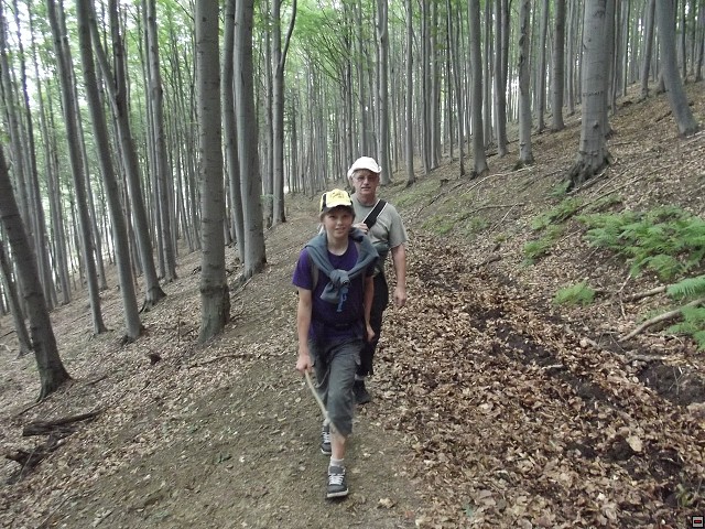 img00014.jpg