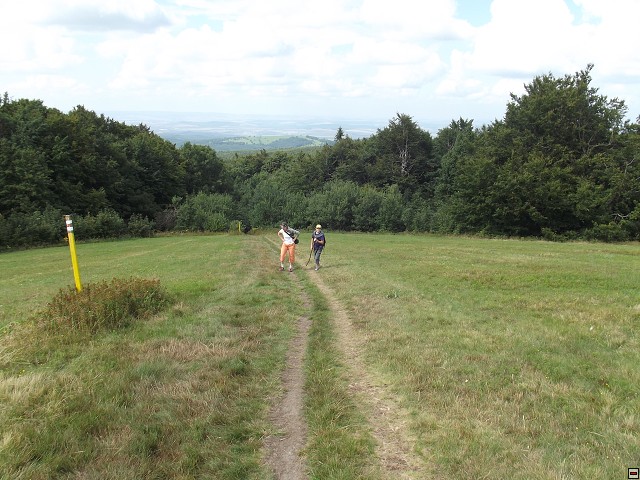 img00016.jpg