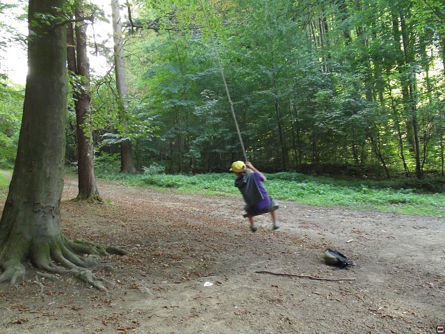 img00024.jpg