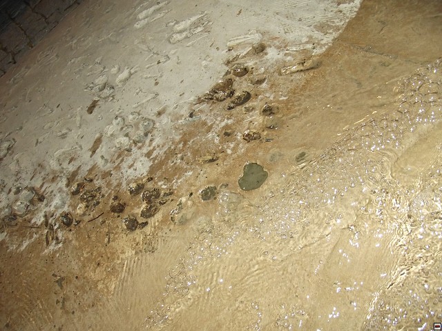 img00049.jpg